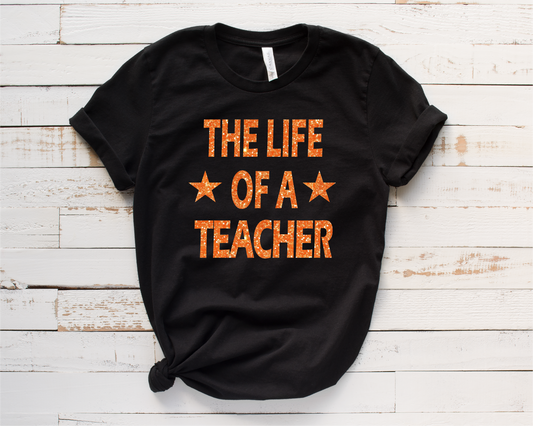 The Life Of A Teacher
